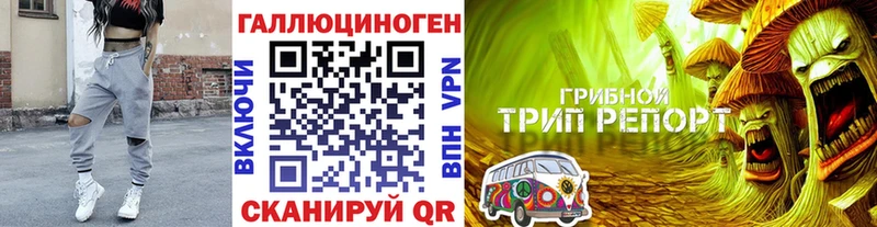 Псилоцибиновые грибы MAGIC MUSHROOMS  Красавино 